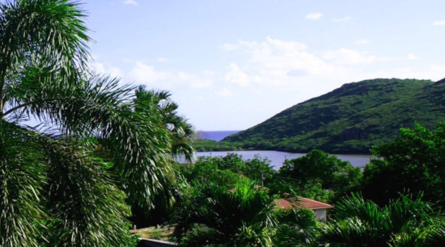 Zenial — Saint-Martin