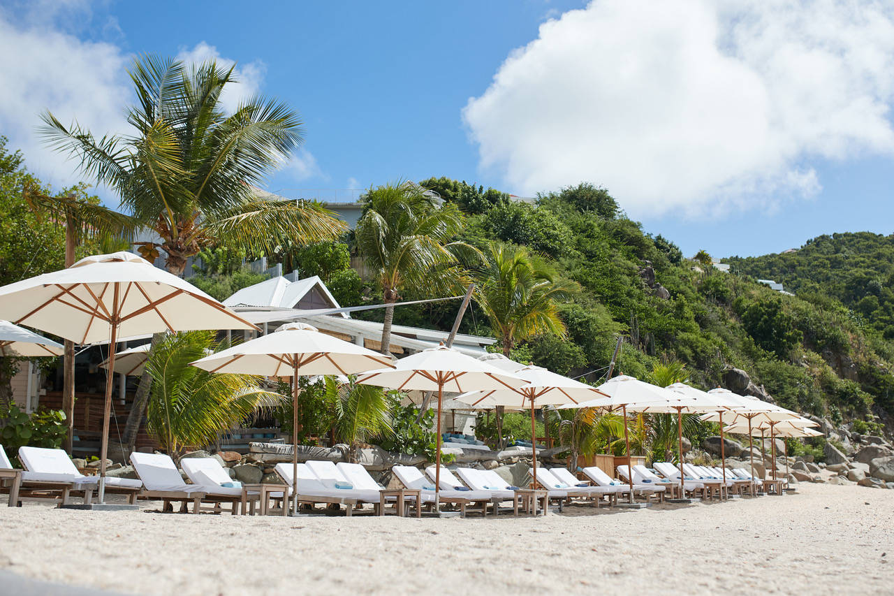 Shellona St Barts  Your Beach Restaurant in St.Barts