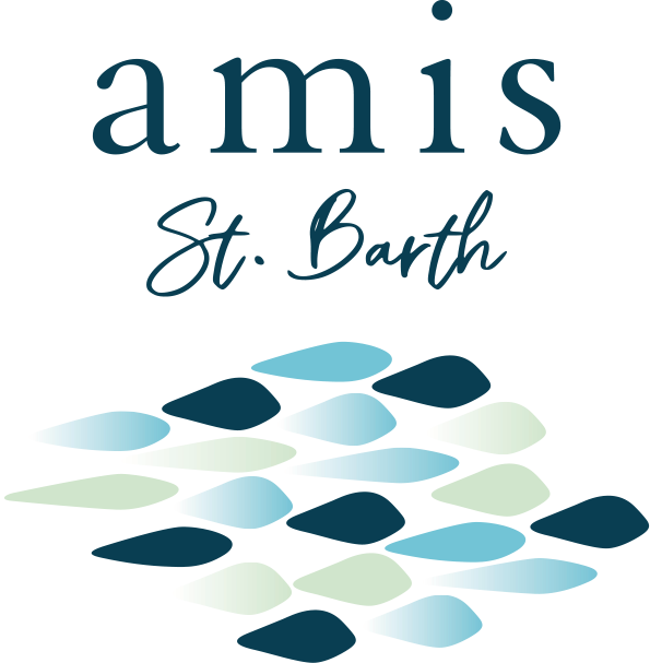 Amis St Barth