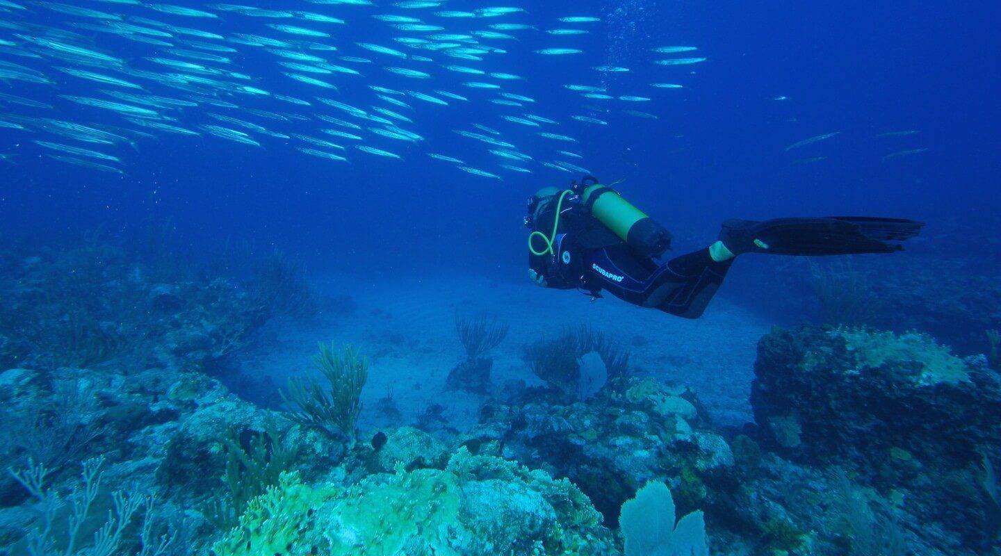 Serial Divers