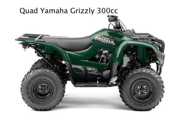 3-Yamaha-Grizzly-300.jpg