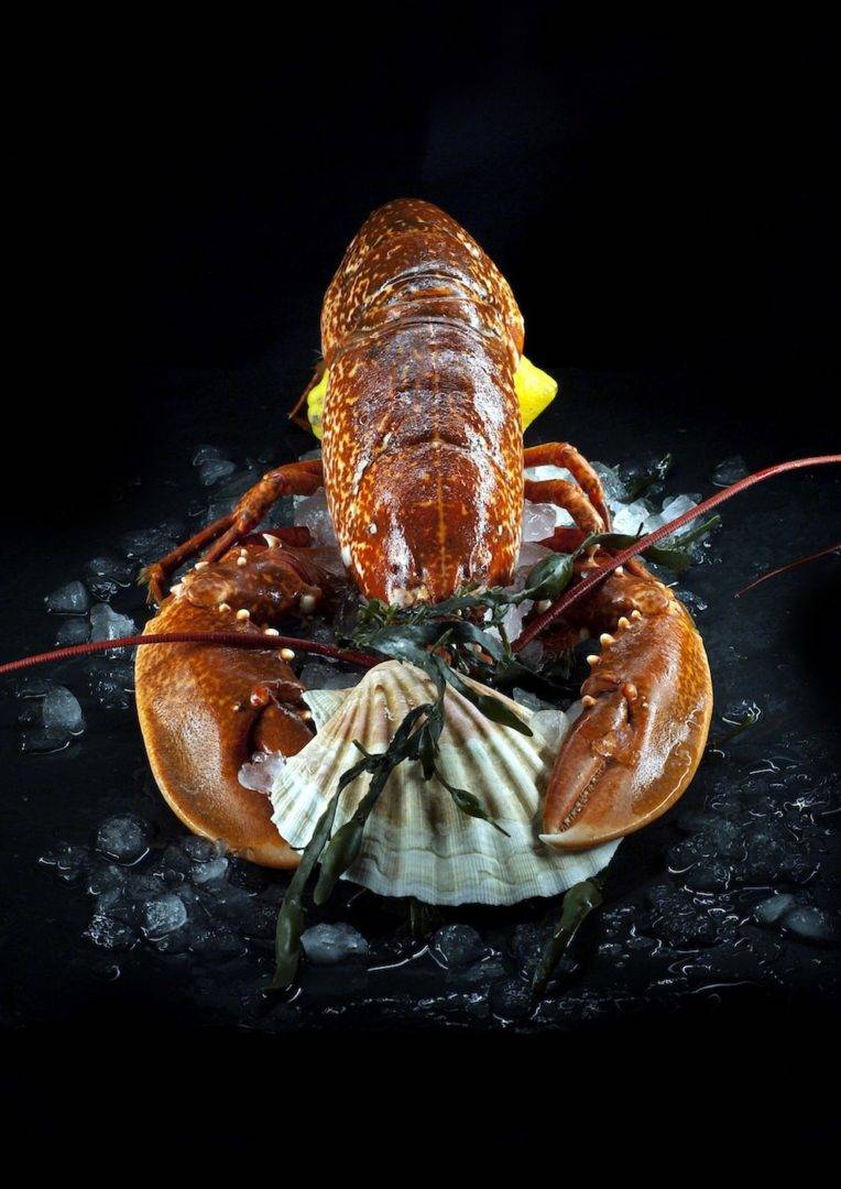 monaco-restaurant-homard-min.jpg