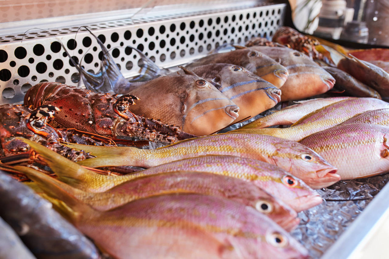 5-st-barth-restaurant-fish-corner-gustavia-st-barths.jpeg