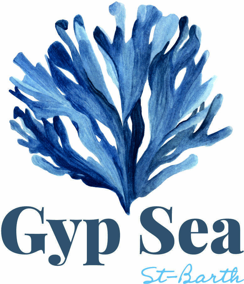 Gyp Sea Beach | Restaurant in St Barts | Lunch | Reservations 24/7 ...