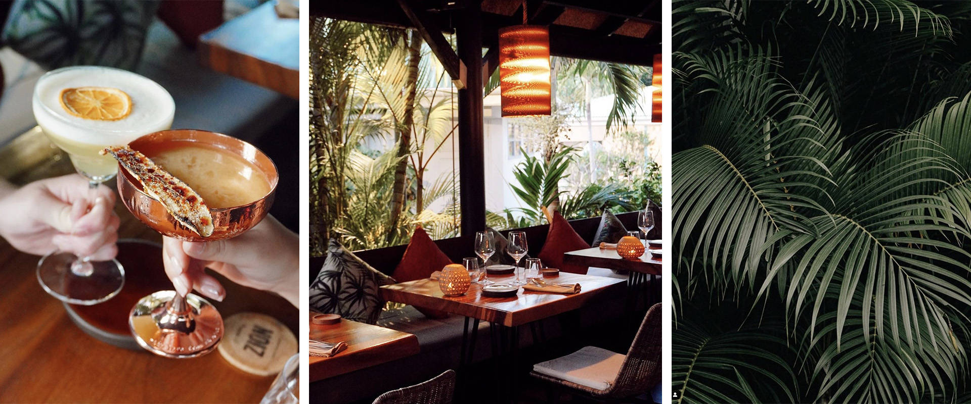 5-article-st-barth-zion-restaurant-pointe-milou-st-barts.jpg