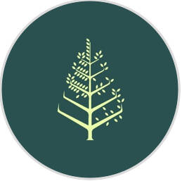 Bar - Hôtel Four Seasons George V