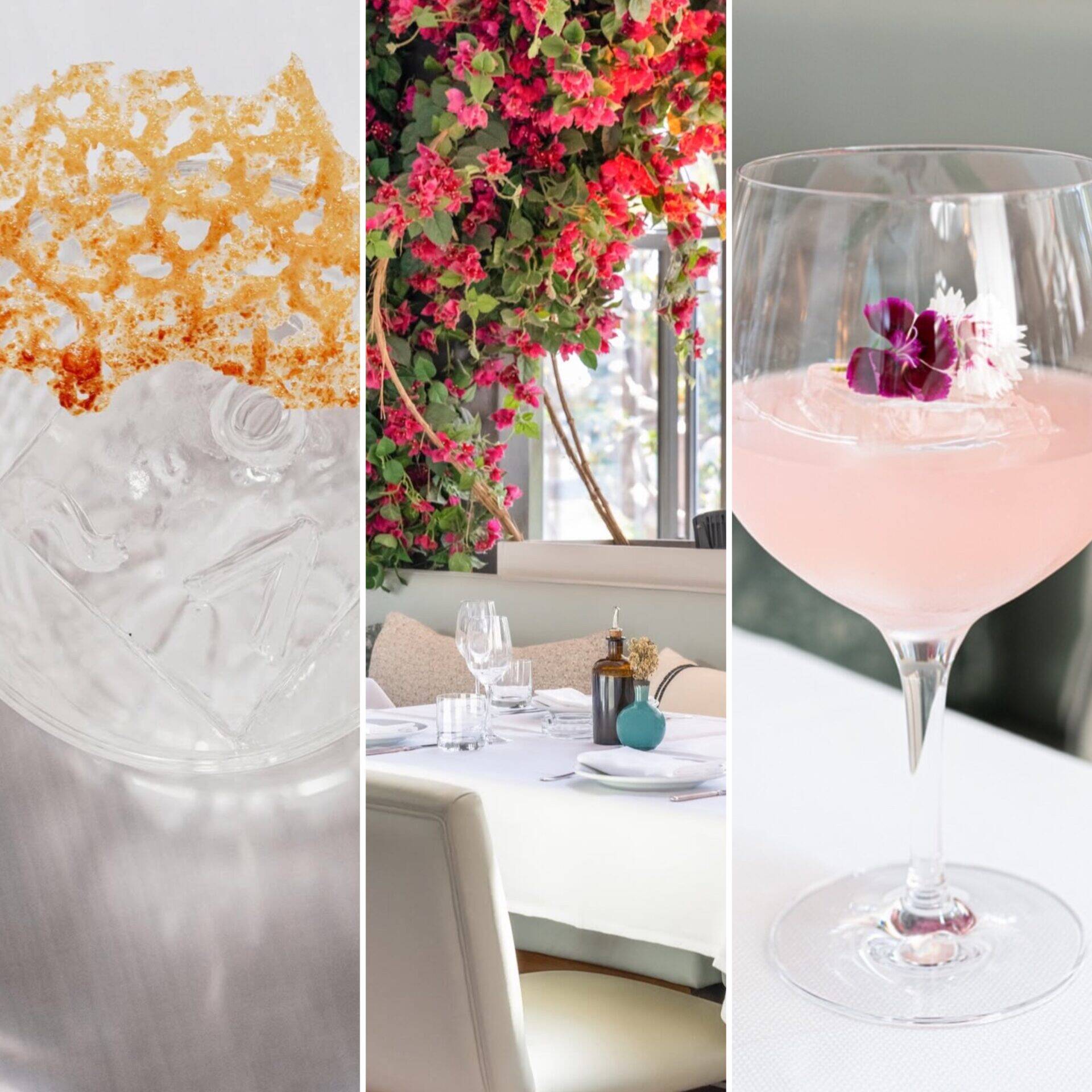 gaia-monte-carlo-monaco-restaurant.jpg.jpg