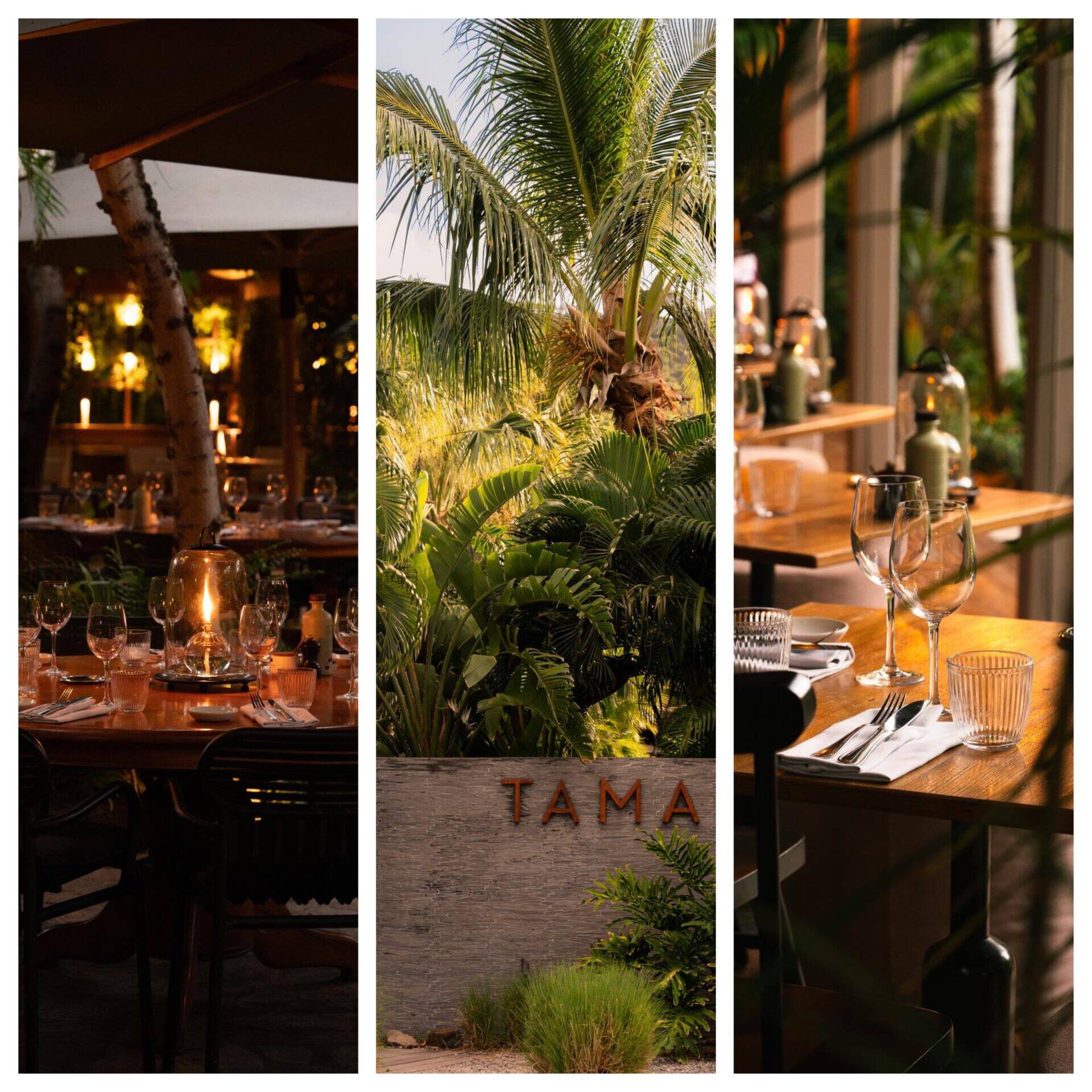 TAMARIN
