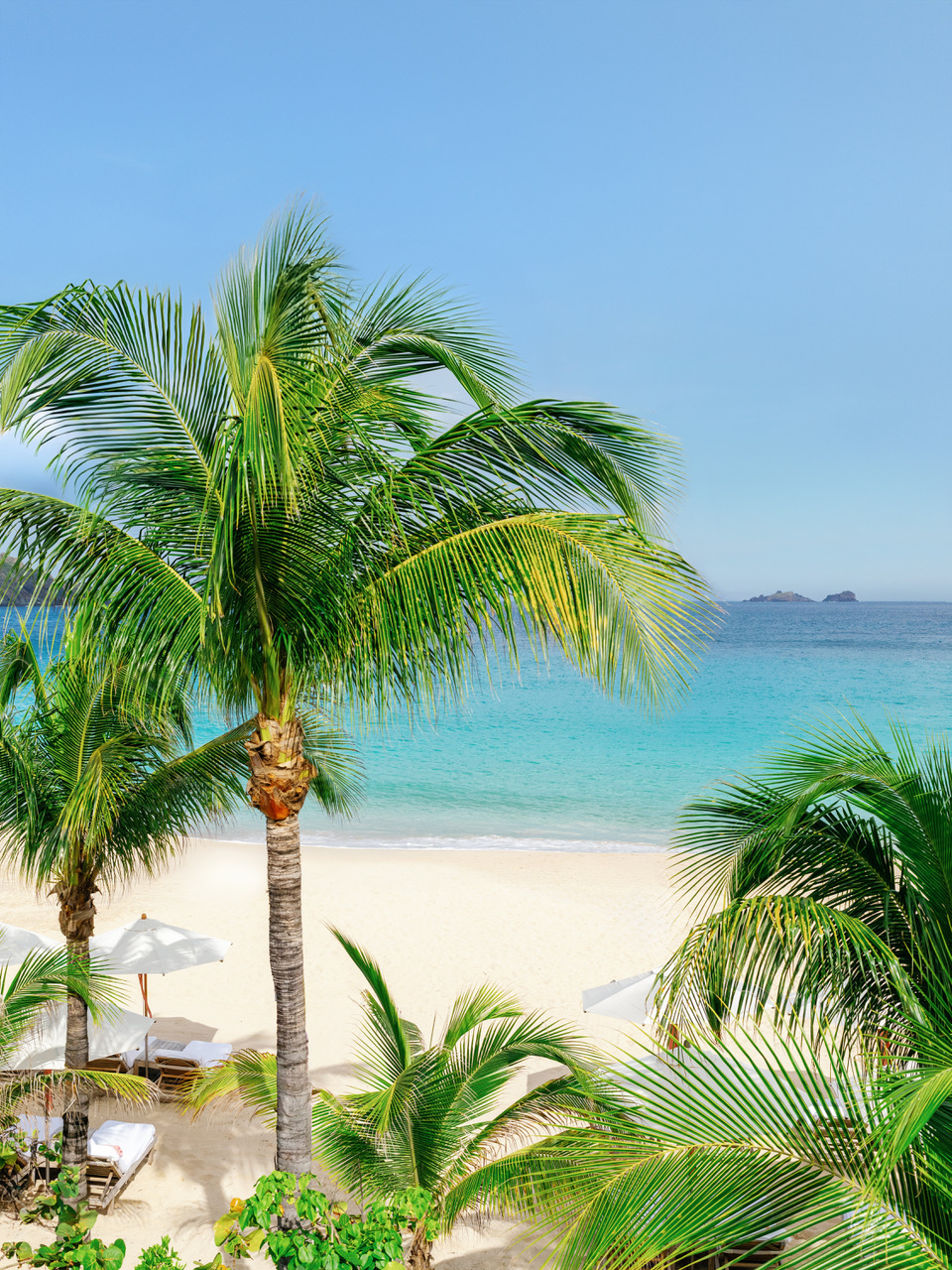 2-langosteria-restaurant-flamands-st-barth.jpeg